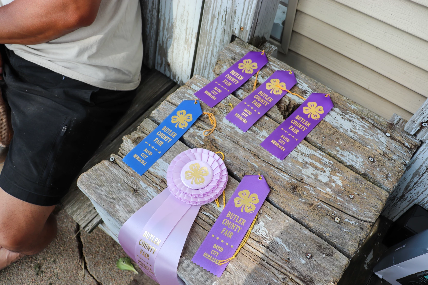 4-H awards