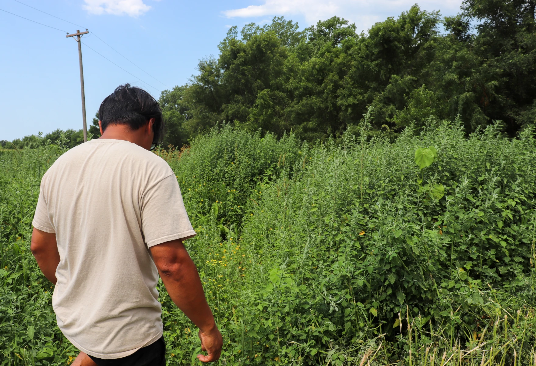Lopes walks through NaTerra Regenerative Farm
