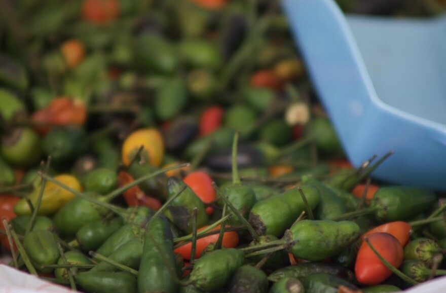 Sacks of peppers sit on the counter of a Guatemalan market in Liberal. These stores are often the closest option for families searching for fresh fruits and vegetables.