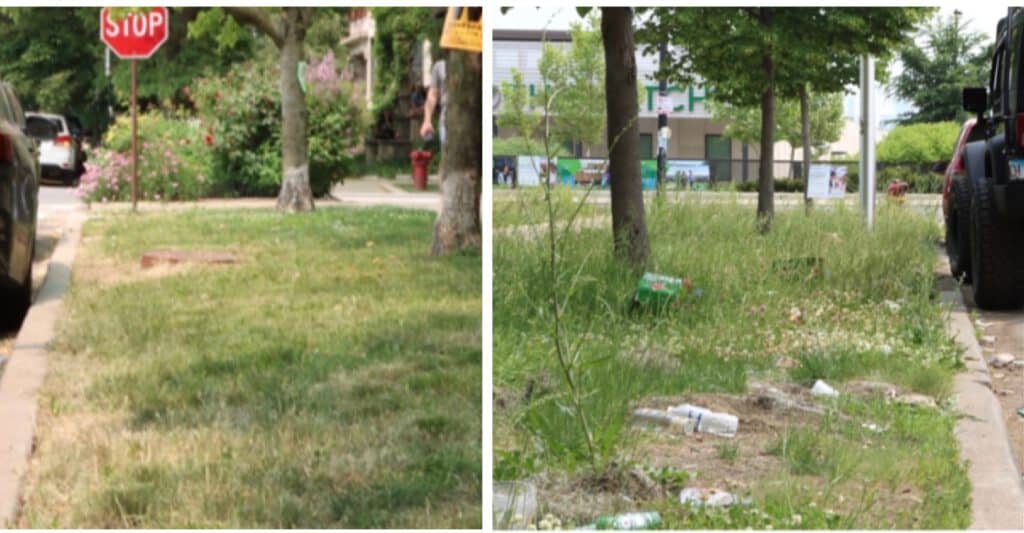 Contrast of well-maintained and neglected neighborhood areas.