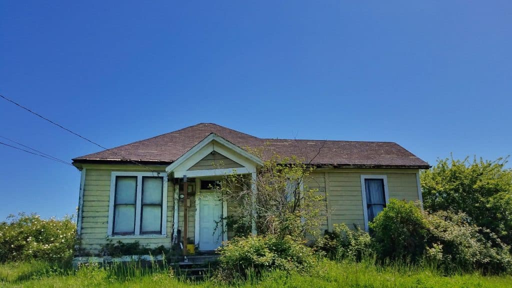 Abandoned house surrounded by overgrown vegetation in a neglected neighborhood.