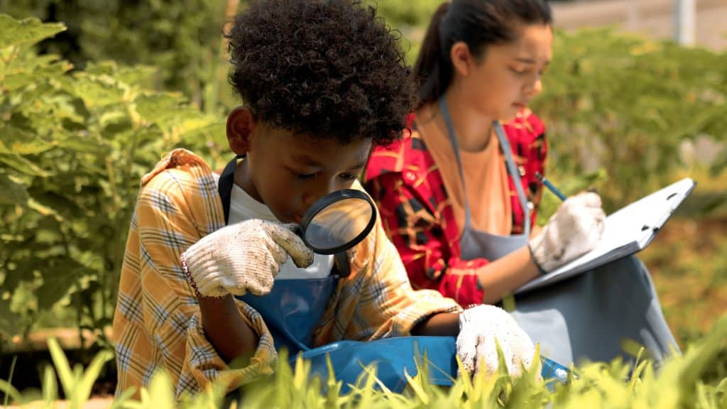 Children examining plants with magnifying glass in schoolyard garden.