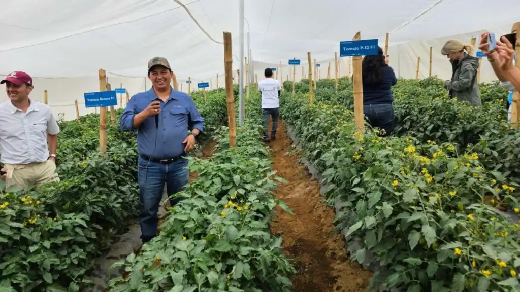 Guatemalan farmers protest US aid cuts impacting agriculture and livelihoods.