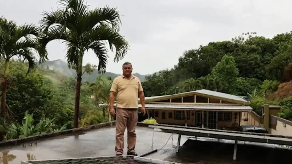 Man standing on rooftop solar panels amid lush greenery in Puerto Rico.
