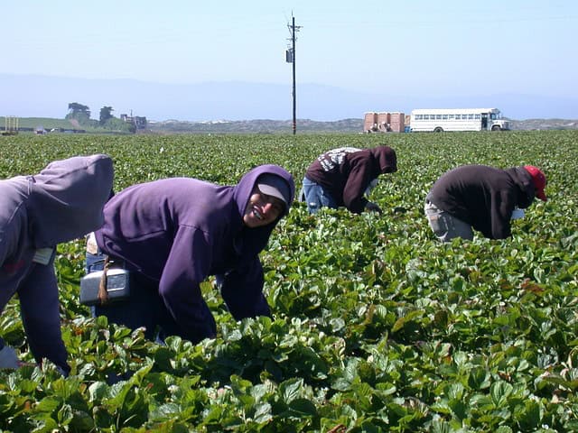 Honoring Latino Contributions and Demanding Justice This Labor Day