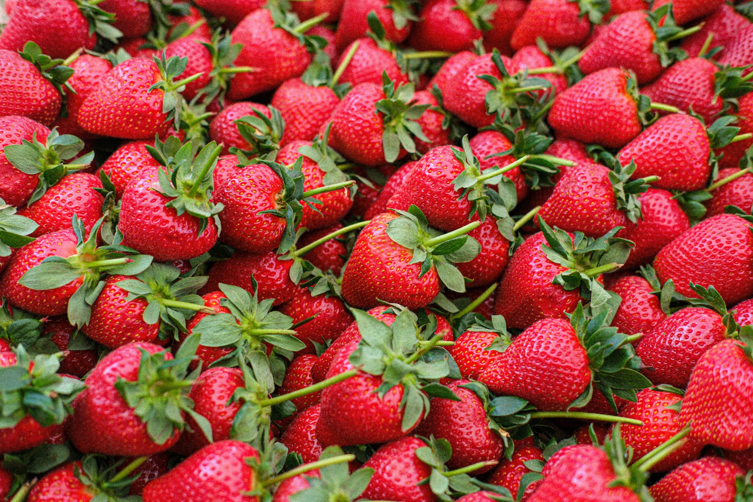 Vibrant display of fresh ripe strawberries, perfect for healthy snacks and recipes.