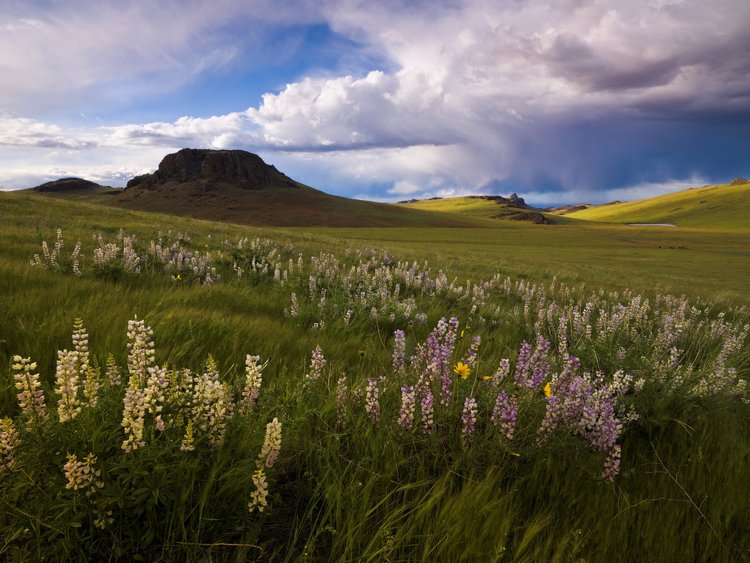 A National Monument for Owyhee: a needed call to preserve history and nature in the West