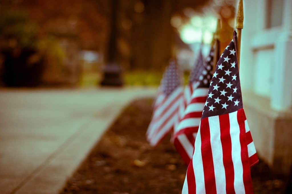Multiple American flags lined up along a sidewalk in a park setting.